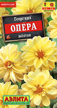 Георгина Опера желтая (7шт) Аэлита/10