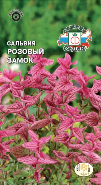 salviya_rozovyy_zamok_khorminovaya