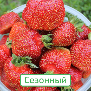 Клубника сезонная Азия ЗКС в стакане 200мл /КРАТНО 6 шт/