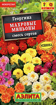 Георгина Махровые миньоны, смесь (7шт) Аэлита/10