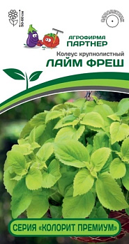 Колеус Лайм Фреш (5шт) Партнер/10