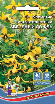 Клематис Звездный Дождь (12шт) Уральский Дачник/10