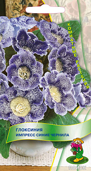 Глоксиния Импресс Синие Чернила (5шт) Поиск/10