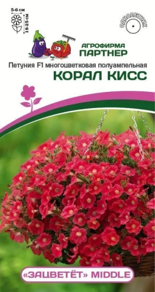 Петуния зацветет корал кисс