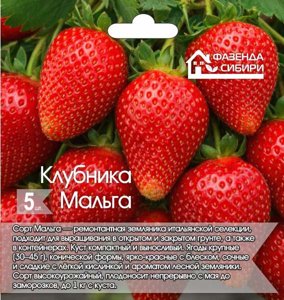 Мальга