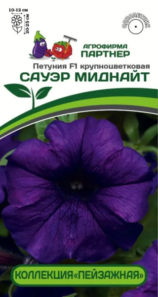 Петуния сауэр миднайт