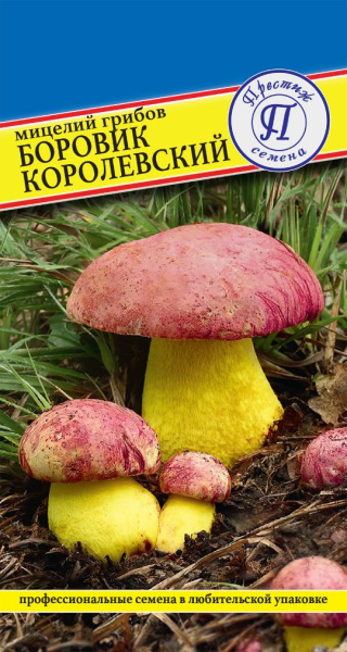 borovik_korolevskij