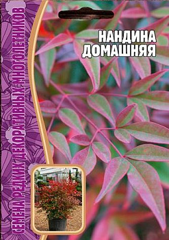 Нандина Домашняя (4шт) Редкие овощи/10