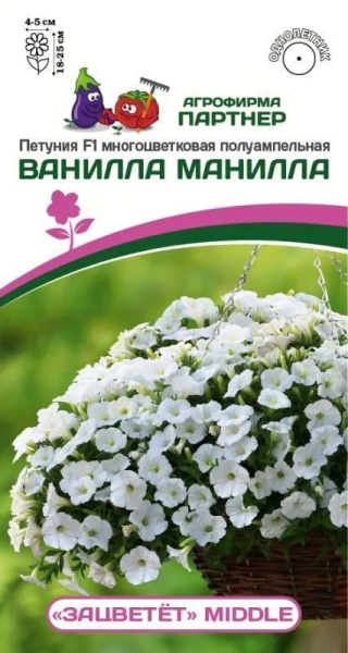 Петуния зацветет ванилла манилла
