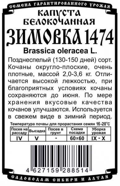 kapusta_zimovka