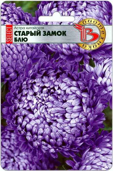 Астра Старый замок Блю