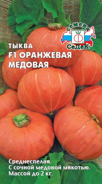 tykva_oranzhevaya_medovaya