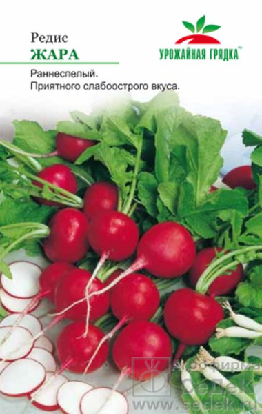 1Редис Жара УГ (3г) Седек/10