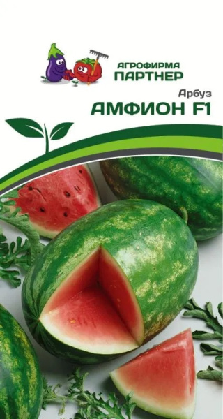 Арбуз Амфион
