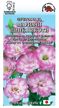 Эустома Мариачи Пинк Пикоти (5шт) Золотая Сотка/10