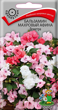 Бальзамин Афина Деметра (5шт) Поиск/10