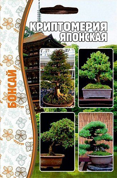 Криптомерия Японская (3шт) Редкие овощи/10