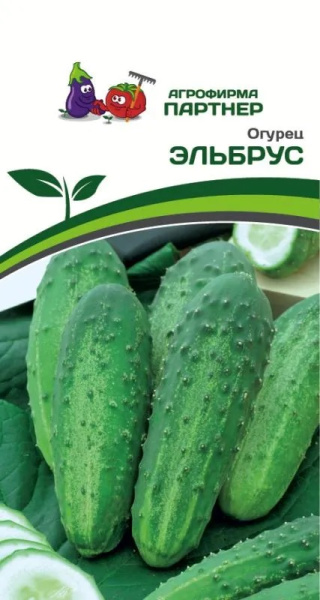 Огурец Эльбрус
