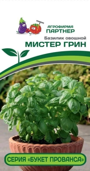 Базилик Мистер Грин