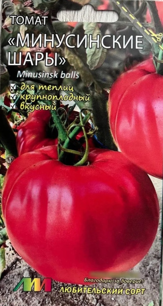 Томат Минусинские шары