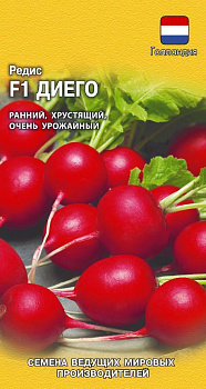 Редис Диего (0,5г) (Голландия) Гавриш/10