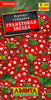 Вербена Гранатовая звезда (30шт) Аэлита/10