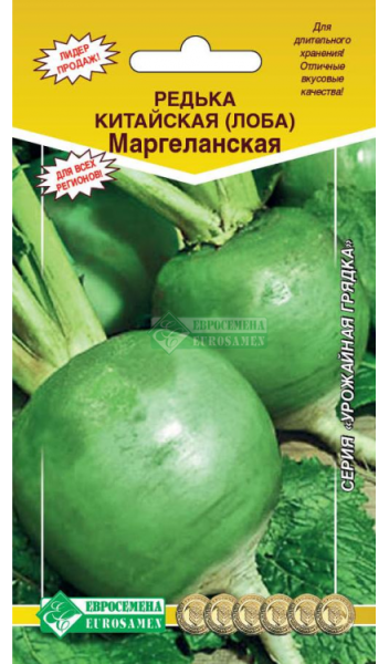 Редька Маргеланская