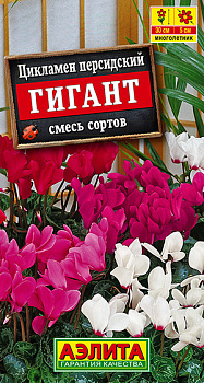 Цикламен Гигант, смесь персидский (3шт) Аэлита/10