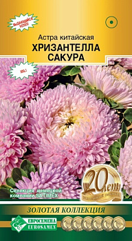Астра ХРИЗАНТЕЛЛА Сакура (5шт) Евросемена/10