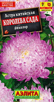 Астра Королева сада биколор (0,2г) Аэлита/10