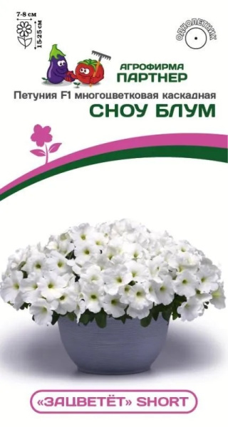 Петуния зацветет сноу блум