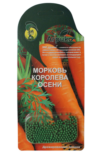 agriko-em-draje-morkov-koroleva-oseni-1