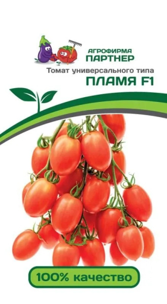 Пламя