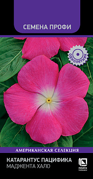 Катарантус Пацифика Маджента Хало (10шт) Поиск/10