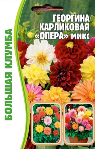 georgina_karlikovaja_opera_miks-750x750