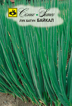 Лук батун Байкал (1г) Семко/10