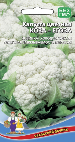 kapusta-cvetnaya-koza-egoza-new
