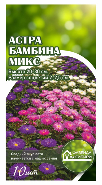 Астра Бамбина Микс
