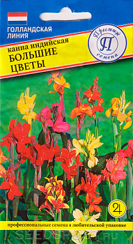 Канна Большие цветы (3шт) Престиж/10