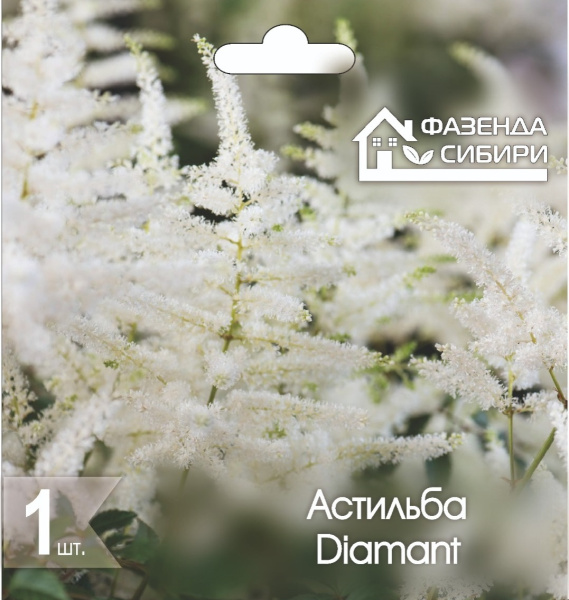 Астильба Diamant