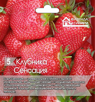 Клубника Фриго сезонная Сенсация А+ 5шт/упак