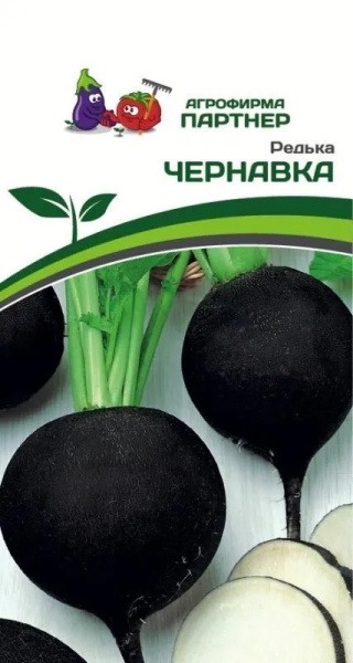 Редька чернавка