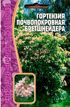 Гортензия почвопокровная Бретшнейдера (20шт) Редкие овощи/10
