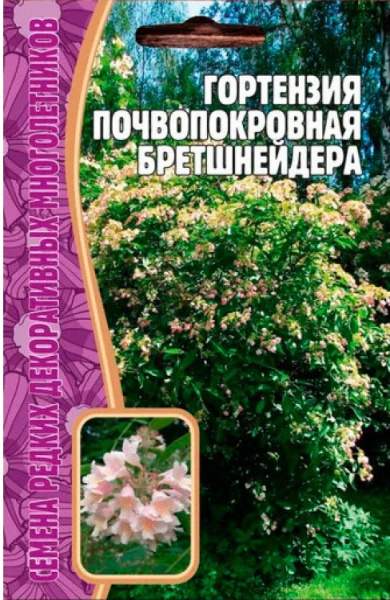 gortenziya-pochvopokrovnaya-bretshneidera-750x750