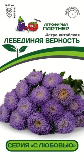астра лебединая верность