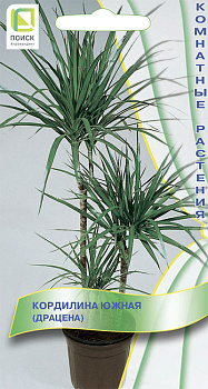 Кордилина южная (драцена) (5шт) Поиск/10