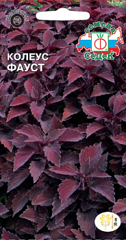 Колеус Фауст (0,1г) СеДеК/10