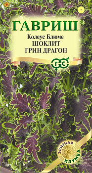Колеус Шоклит грин Драгон (4шт) Гавриш/10