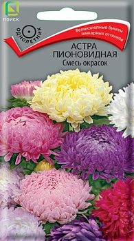 Астра Пионовидная смесь окрасок (0,3г) Поиск/10