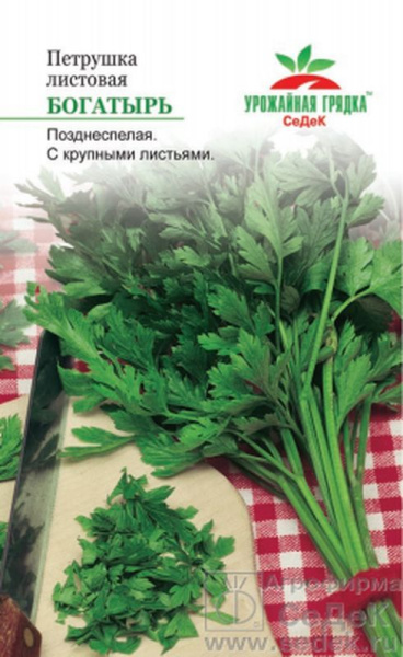 1Петрушка листовая Богатырь 2г УГ Седек/10